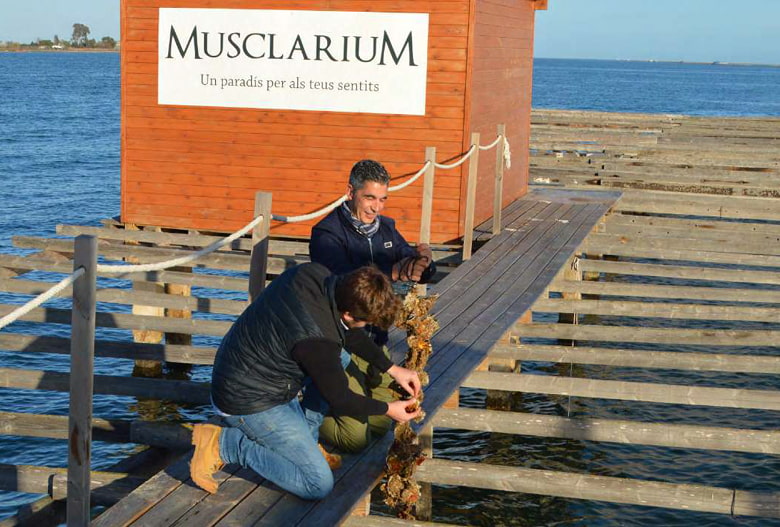 Recogida de marisco Chicos recogiendo marisco fresco