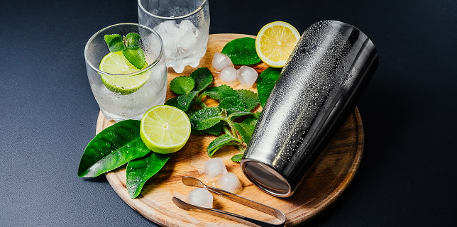 Cócteles profesionales Ingredientes para preparar un mojito